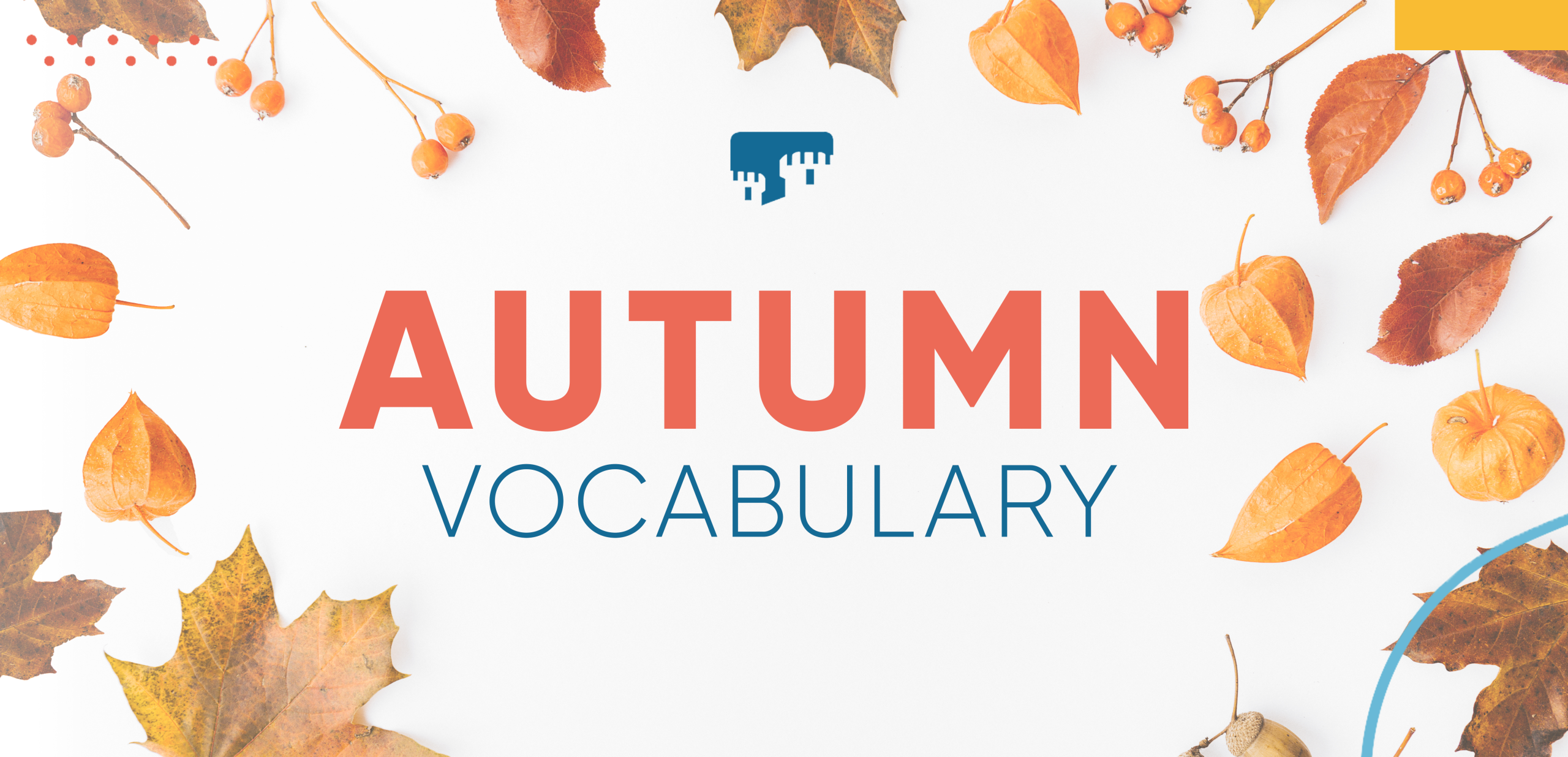 Lee más sobre el artículo Autumn/Fall vocabulary: estudia inglés con el otoño.
